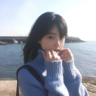 与鲨同游